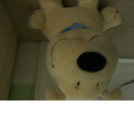Doge Obby Group