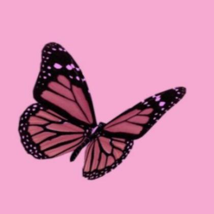 pink butterfly asthetic Roblox decal
