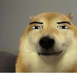 Top Doge Team (TDT)