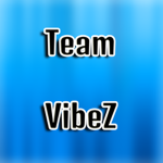 VibeZ Crew