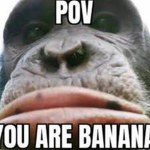 Monkeys monkey