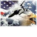 the roblox airforce 2