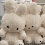 Bunny Runny TEAM