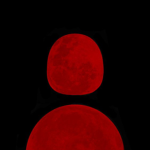 RED TEAMZ