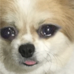 TᑌᑕK Iᑎ