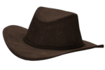 Τhe Cowboys