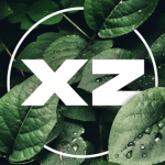 ZX Clothes