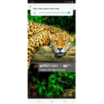 Jaguar band