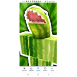 #watermelon shark group