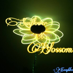 SunflowerxBlossoms