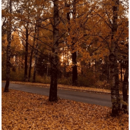 ☆
