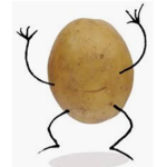 The potatoes by rex gutt en
