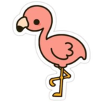#Flamingo friend