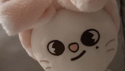 Stray kids obby!