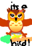 Owlets team