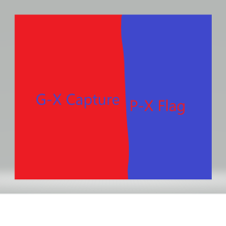 G-X Capture P-X Flag!