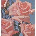 Rosie’s Rose Garden