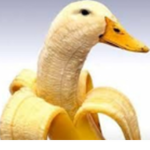 Squizy Banana's