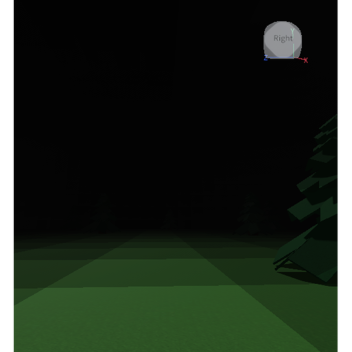 The Paranormal Forest