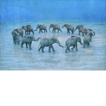 Elephant cult :)