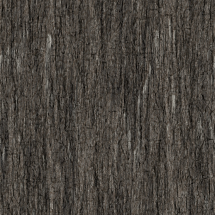 Tree Bark Texture (HD) Roblox decal