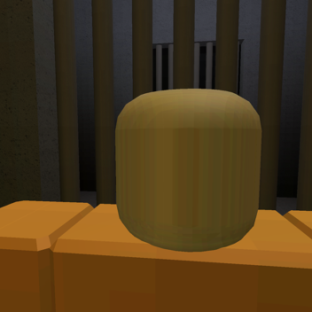 In Prison with Hillary Clinton