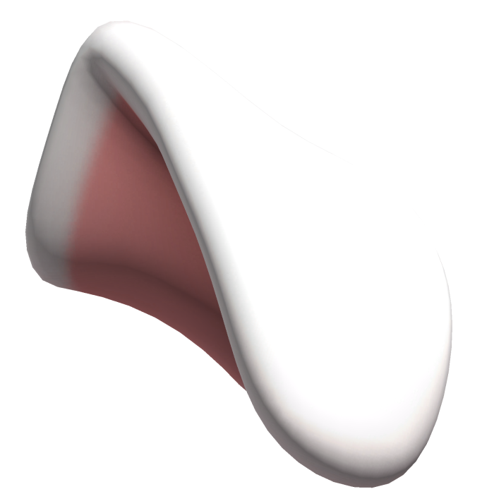 White Dog ear (L)