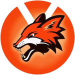 fox/الثعلب
