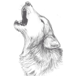 Silent killer wolves