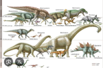 Dinosaurs group !