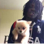 .GRAVEZTON3.