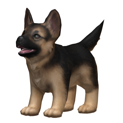 💙 Tan Black German Shepherd Puppy thumbnail