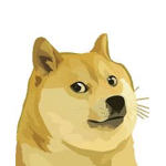 DogeMember Team