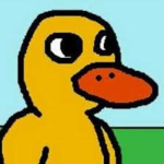 de ducky's