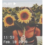 sunflower's squad x