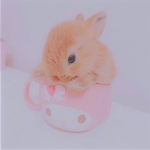 ~Fluffy Cloud Bunny’s~