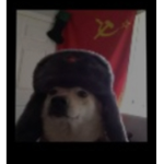yoo time trial so coooool (funi yes among suss)