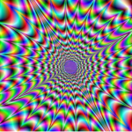 Raptors illusions