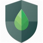Camp Fiji [Security Service]