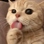 기부단
