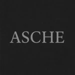 Asche Group Thumbnail