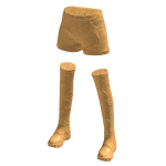 Exclusive gold pant and boots