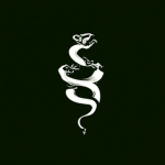 Salvatore Organization