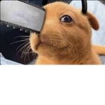 Wood PLS!