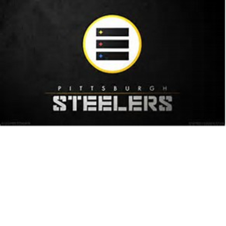 ★SFL★ Steelers - Practice Stadium