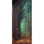 The Winds Of The Forest