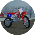 1994 Factory RC250