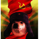 The robux mama
