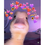 hello and your the best