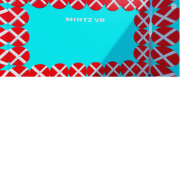 MINTZ VR